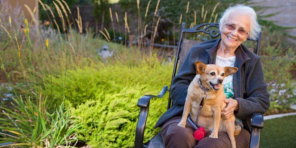 Pet Friendly at Carlton Senior Living