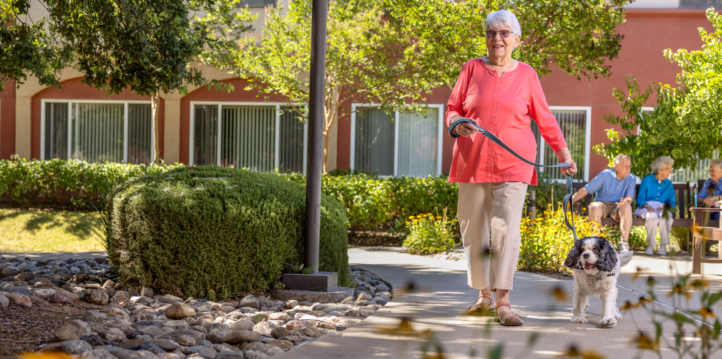 An elderly woman walking her dog along a pathway in a sunny courtyard, symbolizing an active and fulfilling lifestyle in senior living.